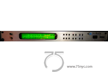 Enlarged view of image